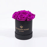 Essence Black Box with seven bright purple roses arranged in a black square box