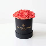 Small black box filled with seven vibrant coral-colored roses