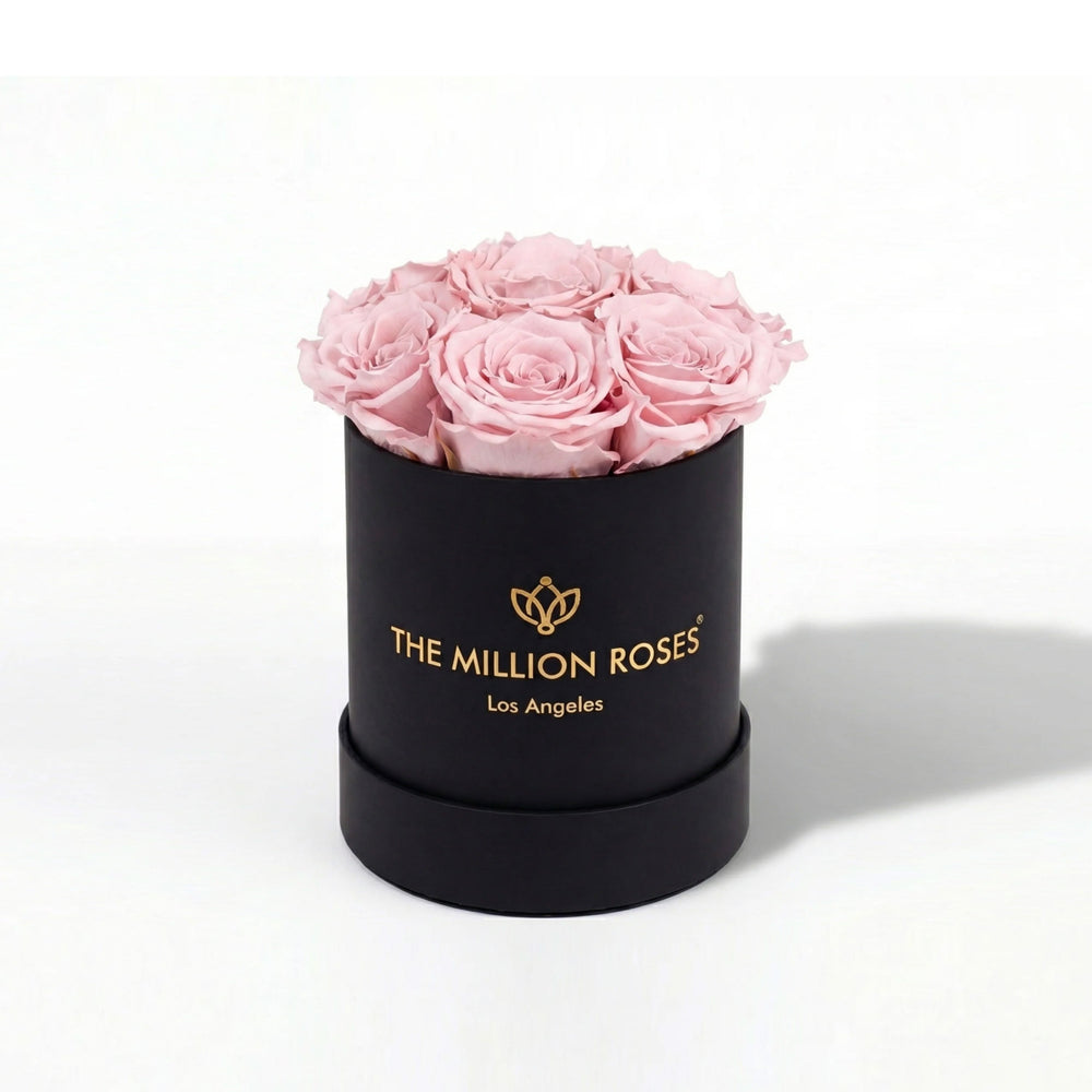 Essence Black Box containing seven light pink roses arranged neatly inside a square black box