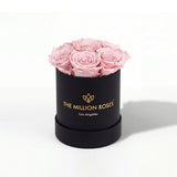 Essence Black Box containing seven light pink roses arranged neatly inside a square black box