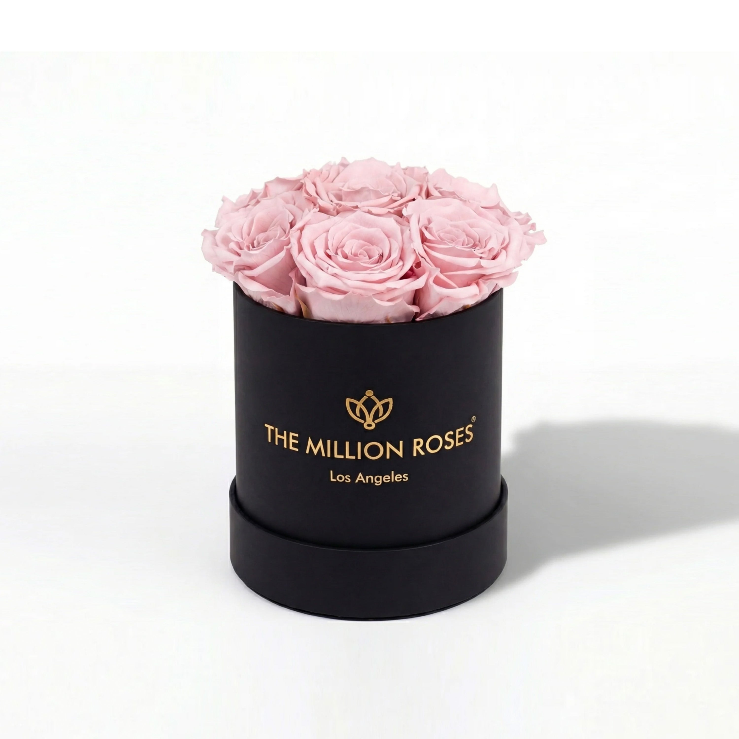Essence Black Box containing seven light pink roses arranged neatly inside a square black box