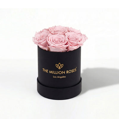 Essence Black Box containing seven light pink roses arranged neatly inside a square black box
