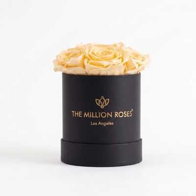 Essence Black Box with seven ivory roses arranged in a black box, photographed on a white surface.