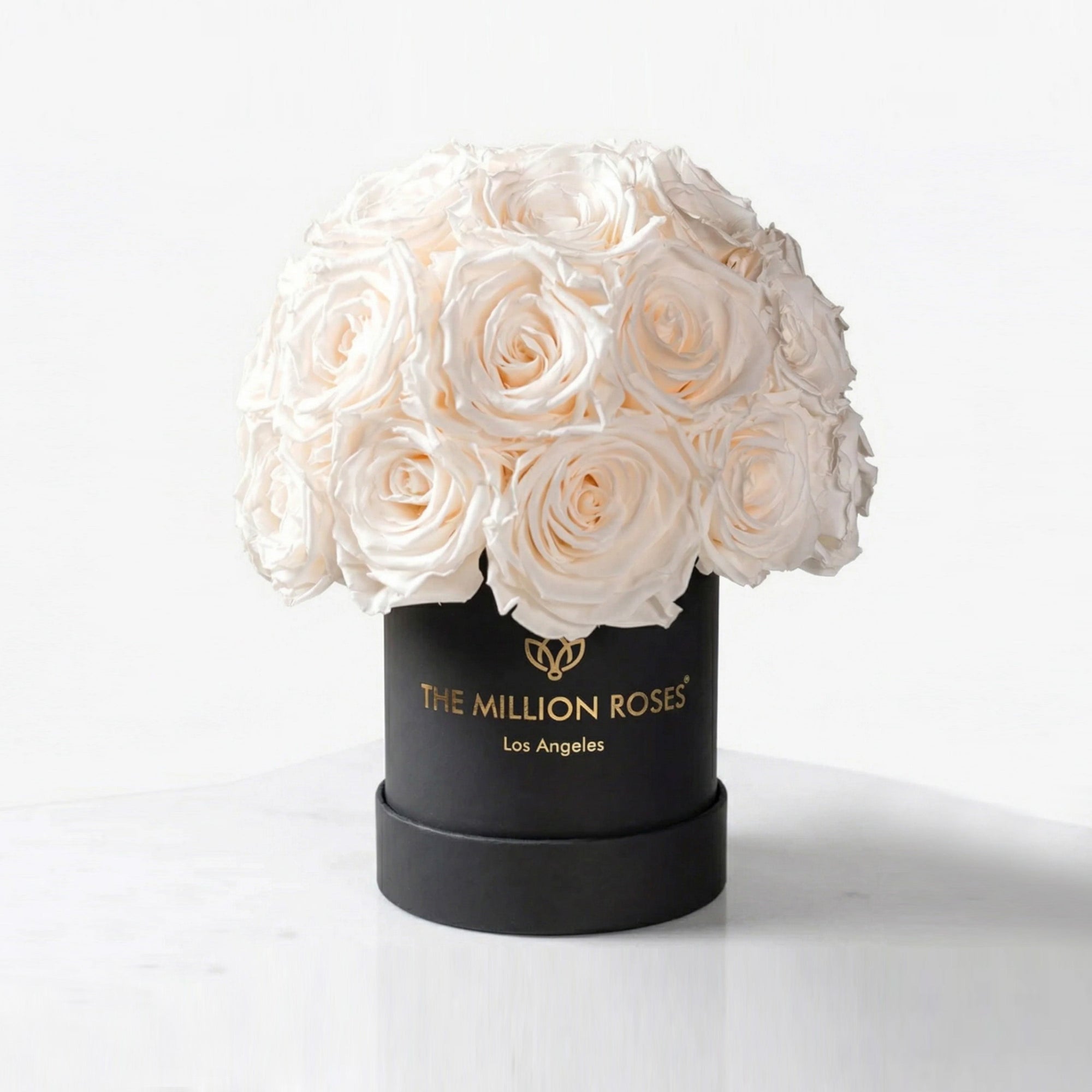 Black superdome box filled with a dome of white roses