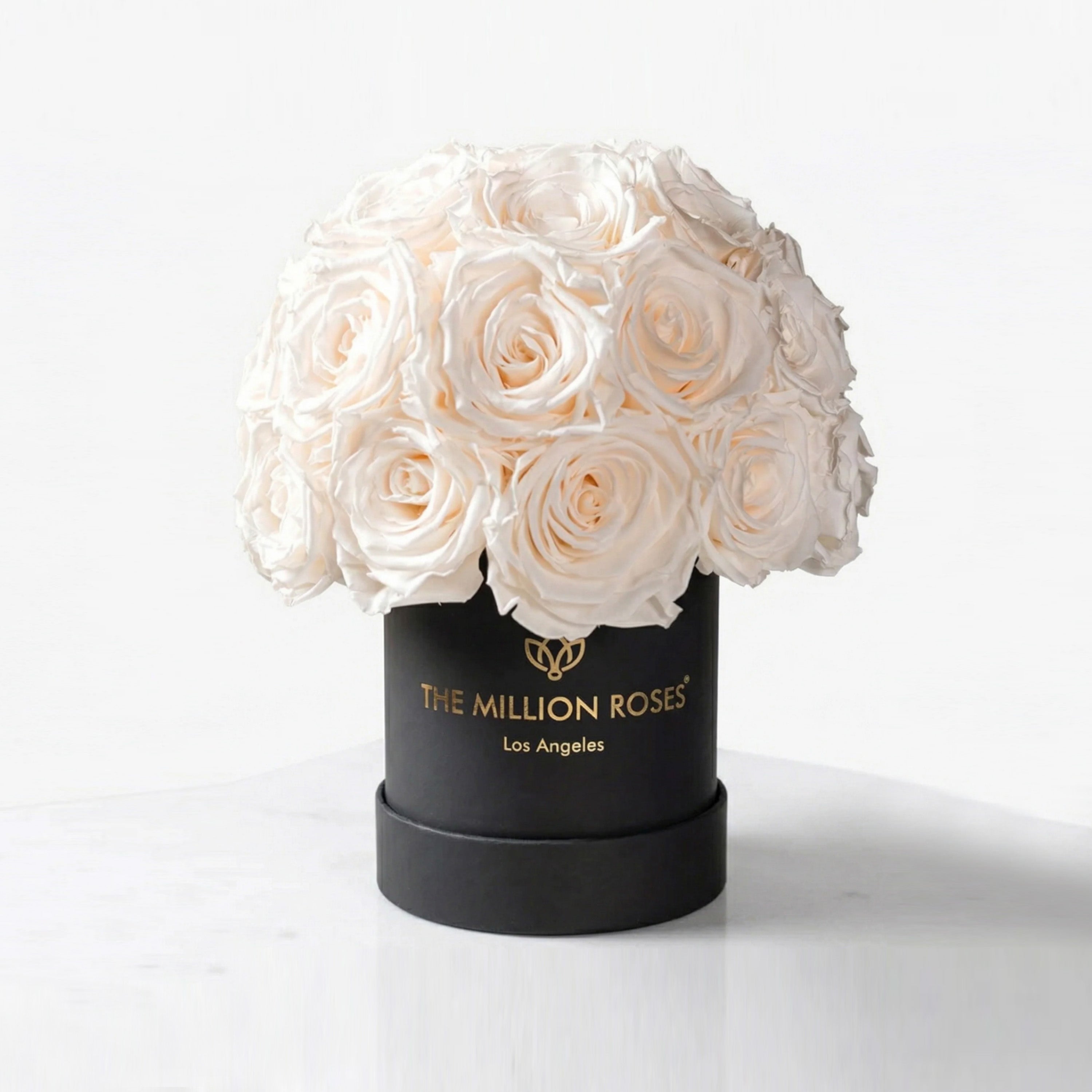 Black superdome box filled with a dome of white roses
