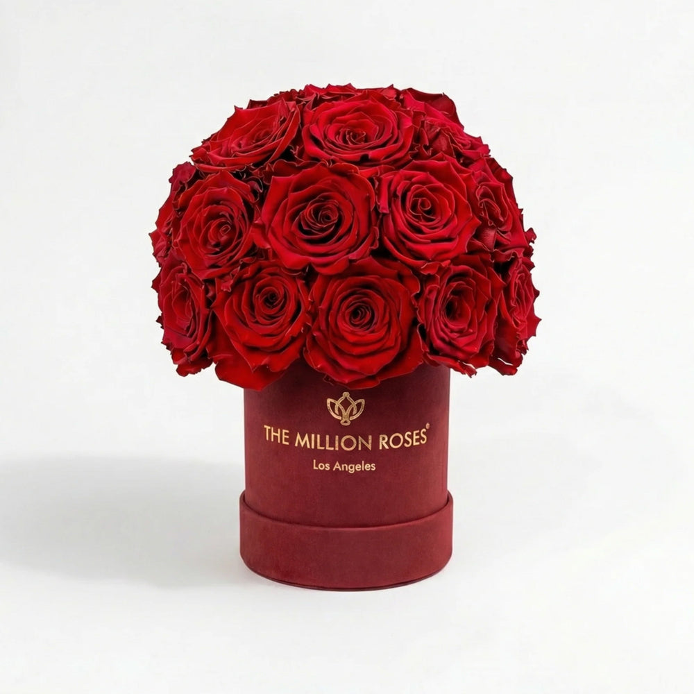 Essence Bordeaux Suede Superdome Box with red roses arranged in a rounded dome shape inside a burgundy suede box