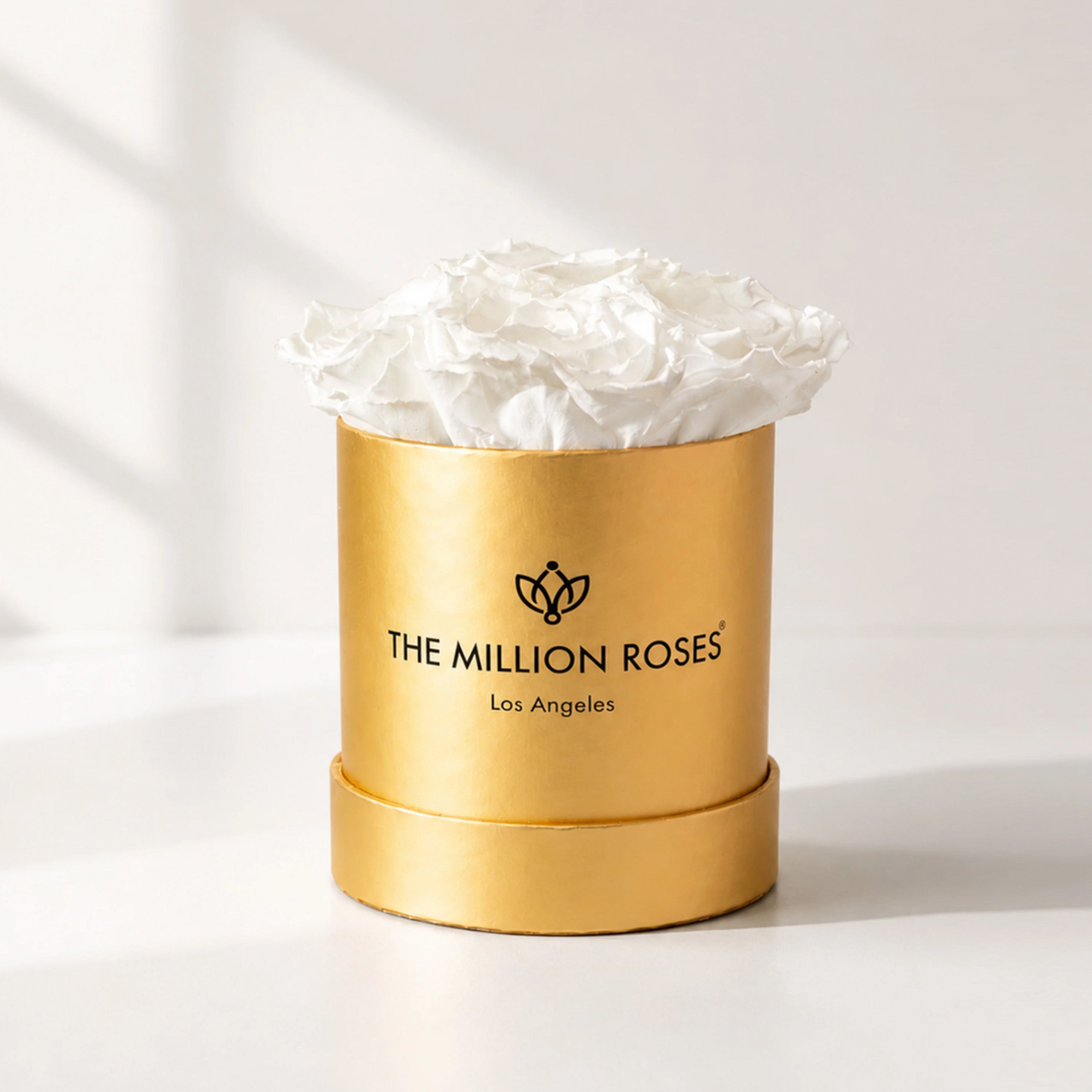 Matte gold box holding seven white roses, Essence Gold Box by The Million Roses