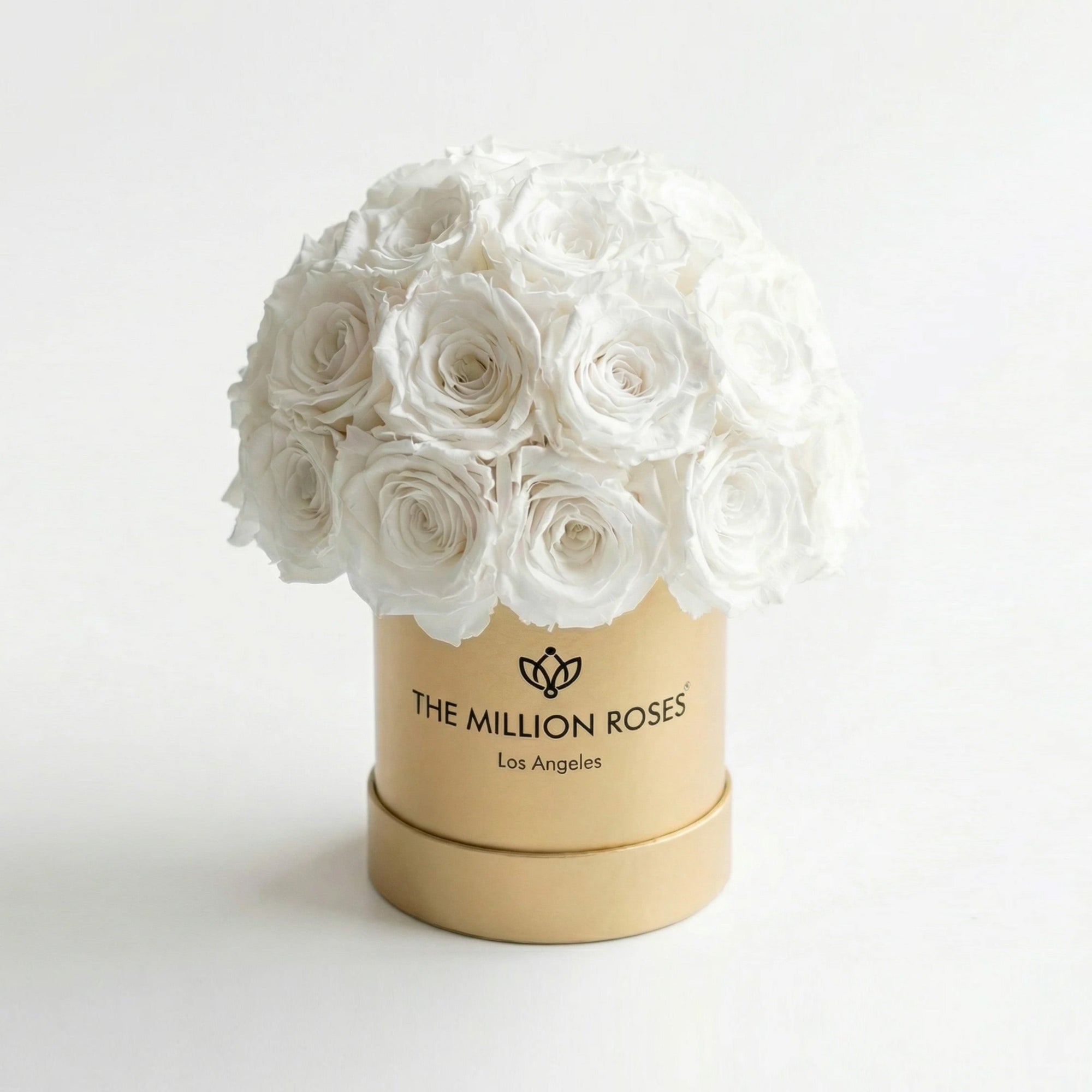 Essence Gold Superdome Box featuring 38-40 white roses arranged in a full, rounded crown inside a gold box.