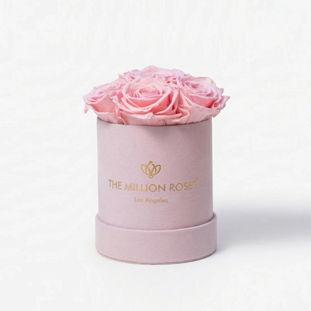 Essence Light Pink Suede Box holding seven light pink roses