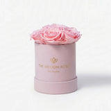 Essence Light Pink Suede Box holding seven light pink roses