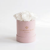 Essence Light Pink Suede Box holding seven white preserved roses