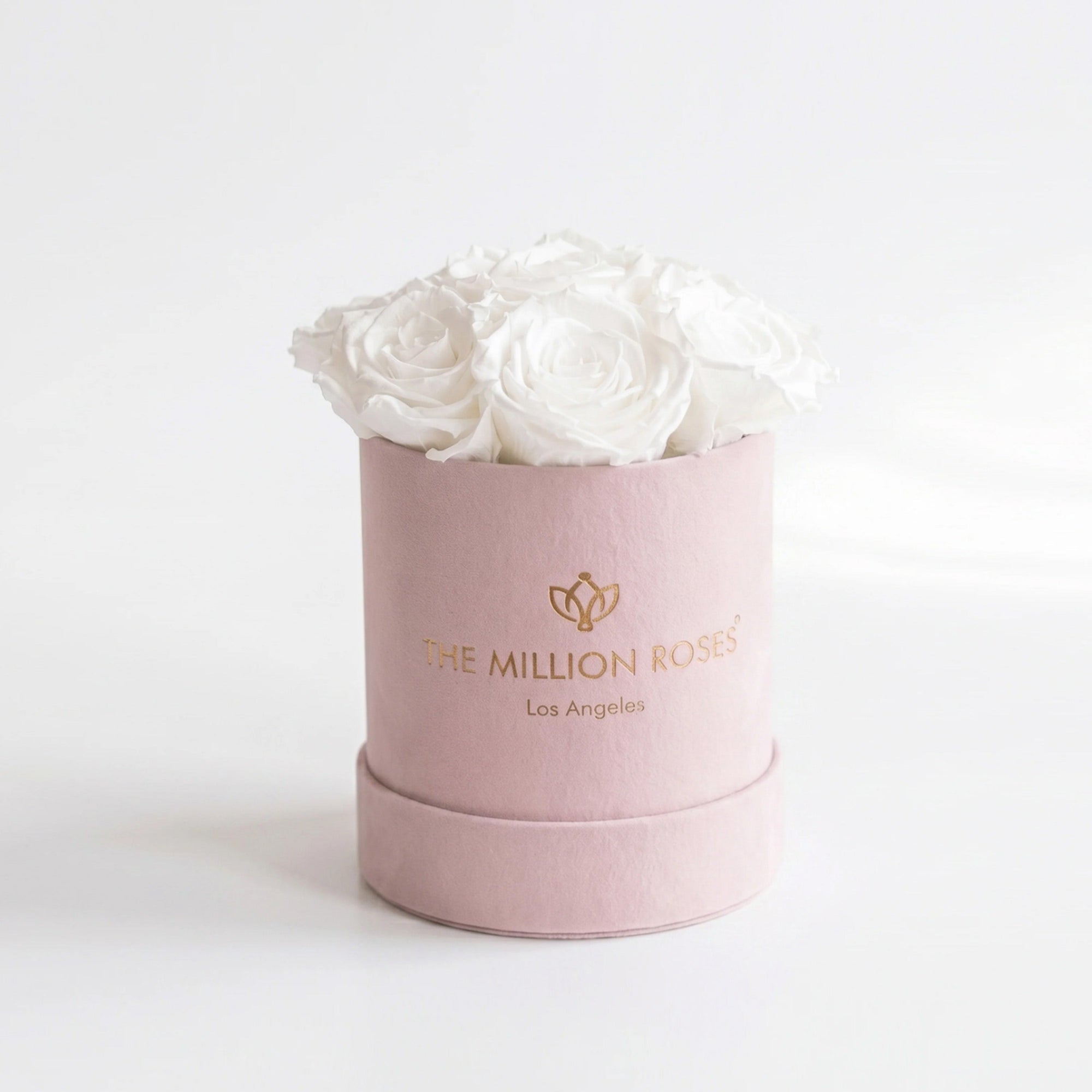 Essence Light Pink Suede Box holding seven white preserved roses
