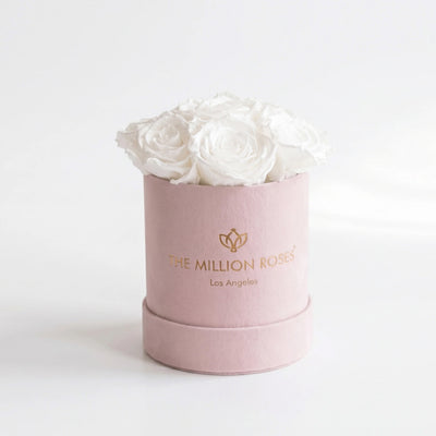 Essence Light Pink Suede Box holding seven white preserved roses