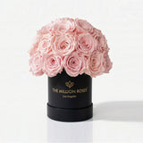 Essence Black Superdome Box filled with light pink roses arranged in a rounded crown
