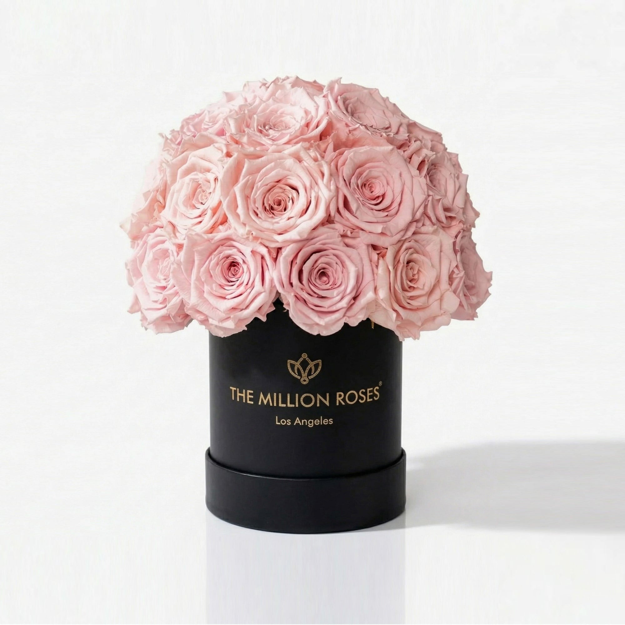 Essence Black Superdome Box filled with light pink roses arranged in a rounded crown