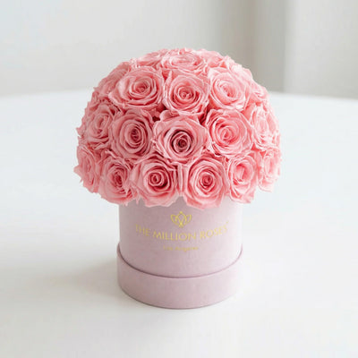 Essence Light Pink Suede Superdome Box with 38-40 light pink roses arranged in a rounded crown on a light pink suede box