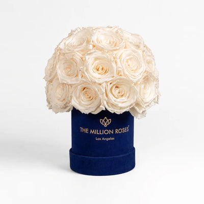 Royal blue suede Superdome box with a rounded bouquet of 38-40 white roses