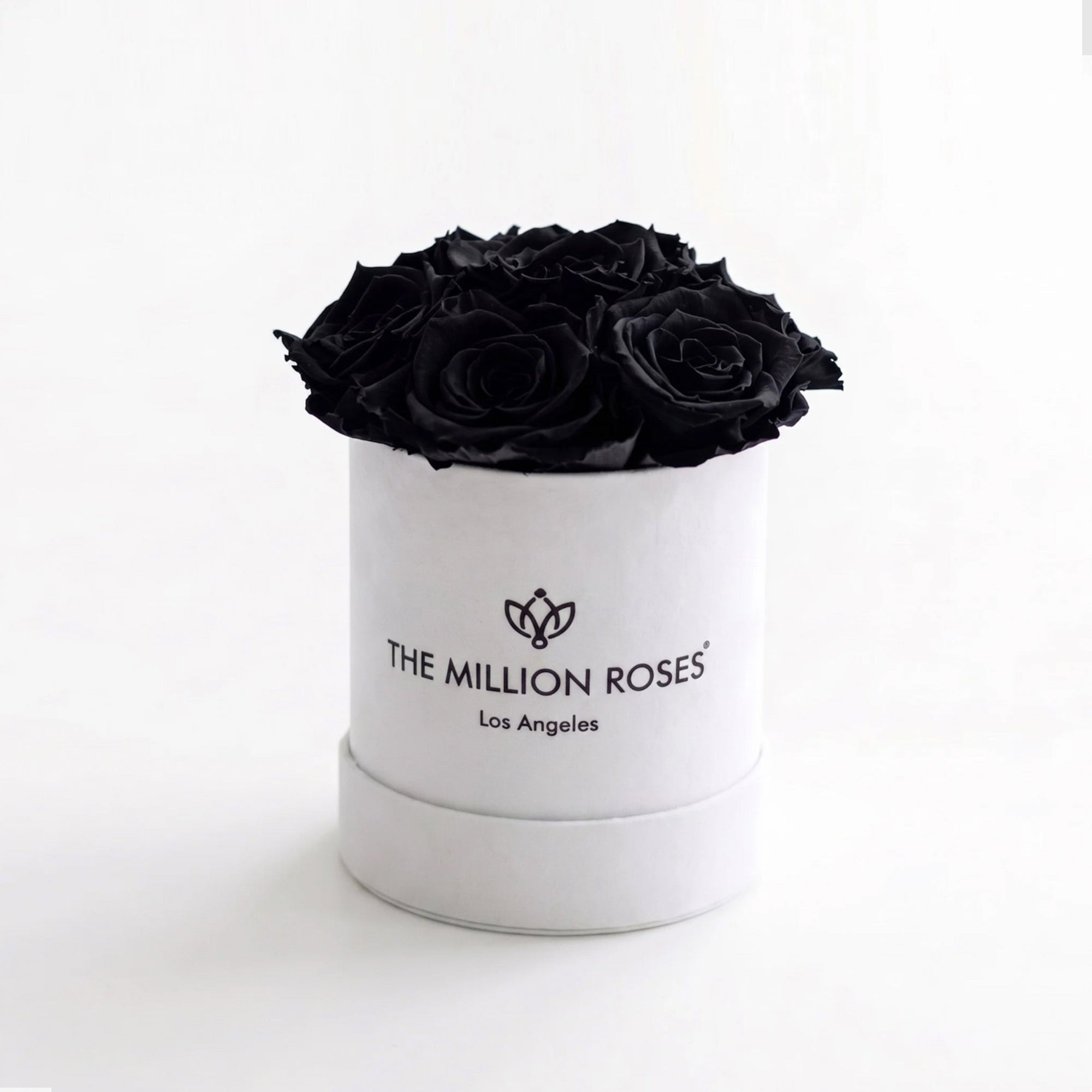 Essence White Box with seven black roses arranged inside a white square box