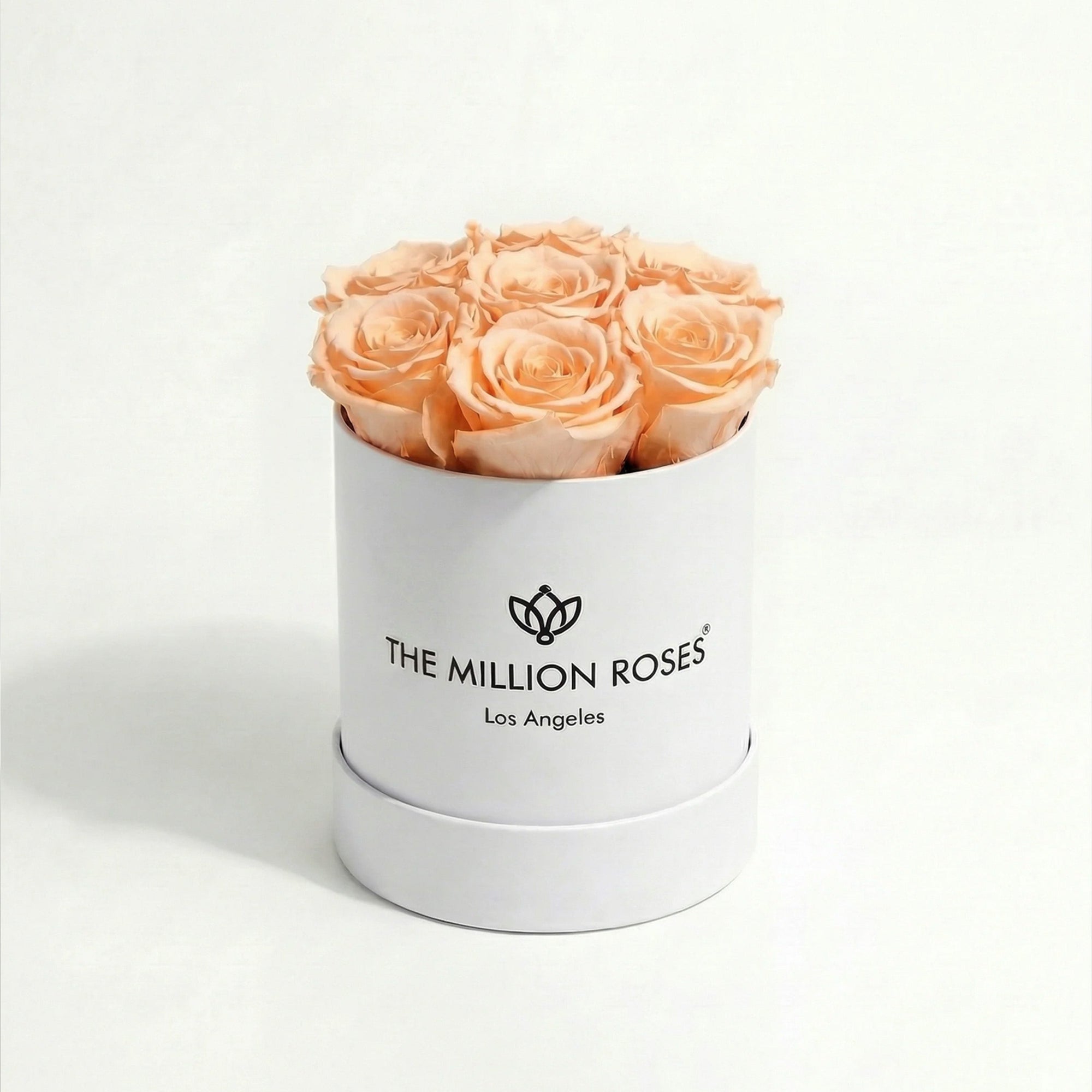Essence White Box containing peach-colored roses arranged neatly in a white box
