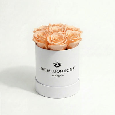Essence White Box containing peach-colored roses arranged neatly in a white box