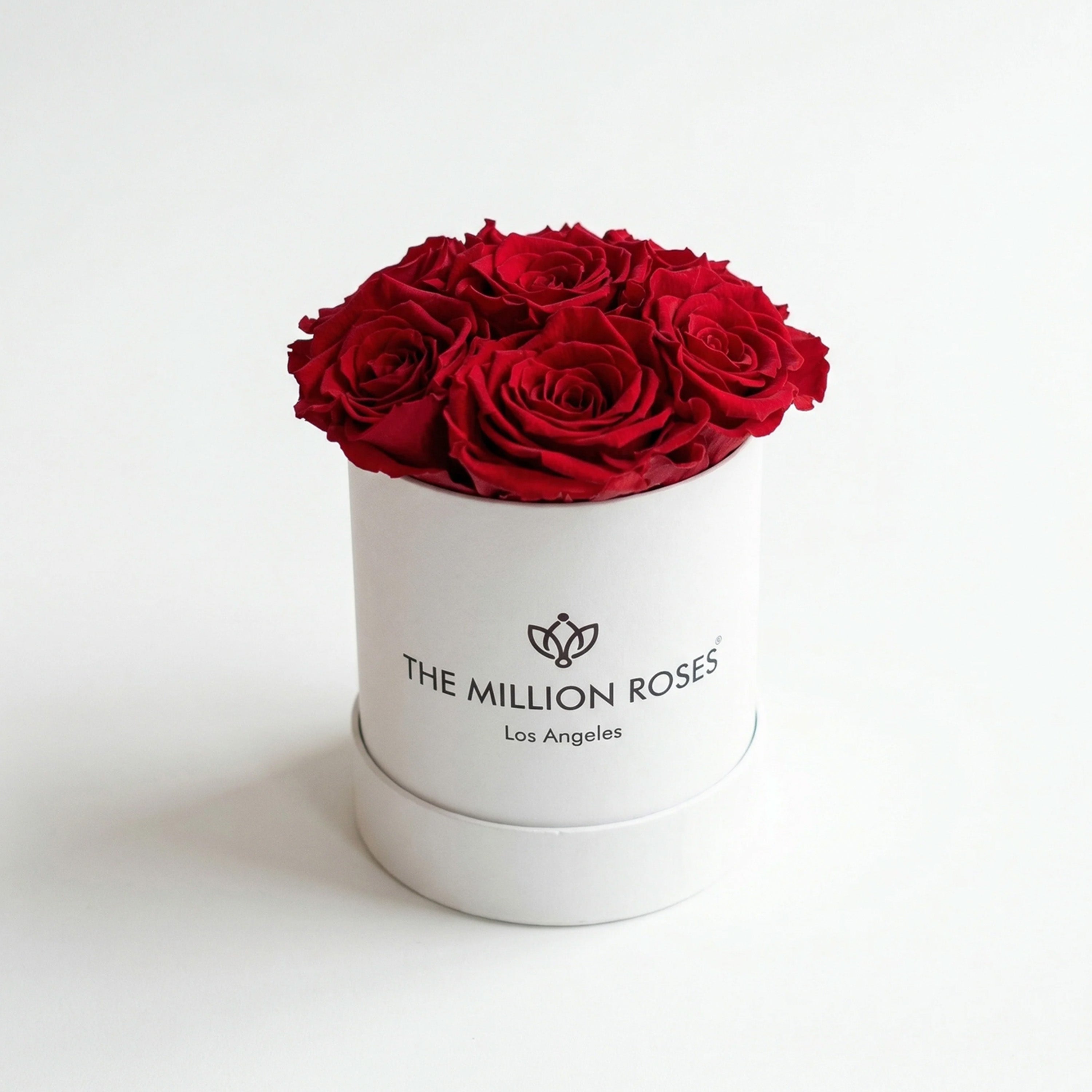Essence White Box containing seven red roses arranged inside a white box, shown from above with a clean background.