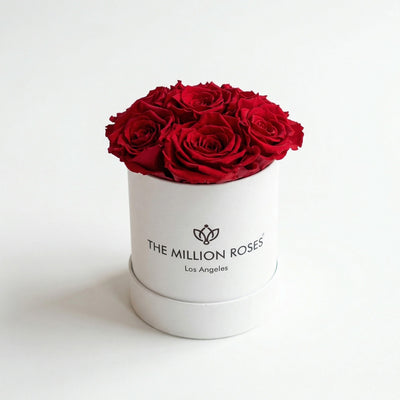 Essence White Box containing seven red roses arranged inside a white box, shown from above with a clean background.