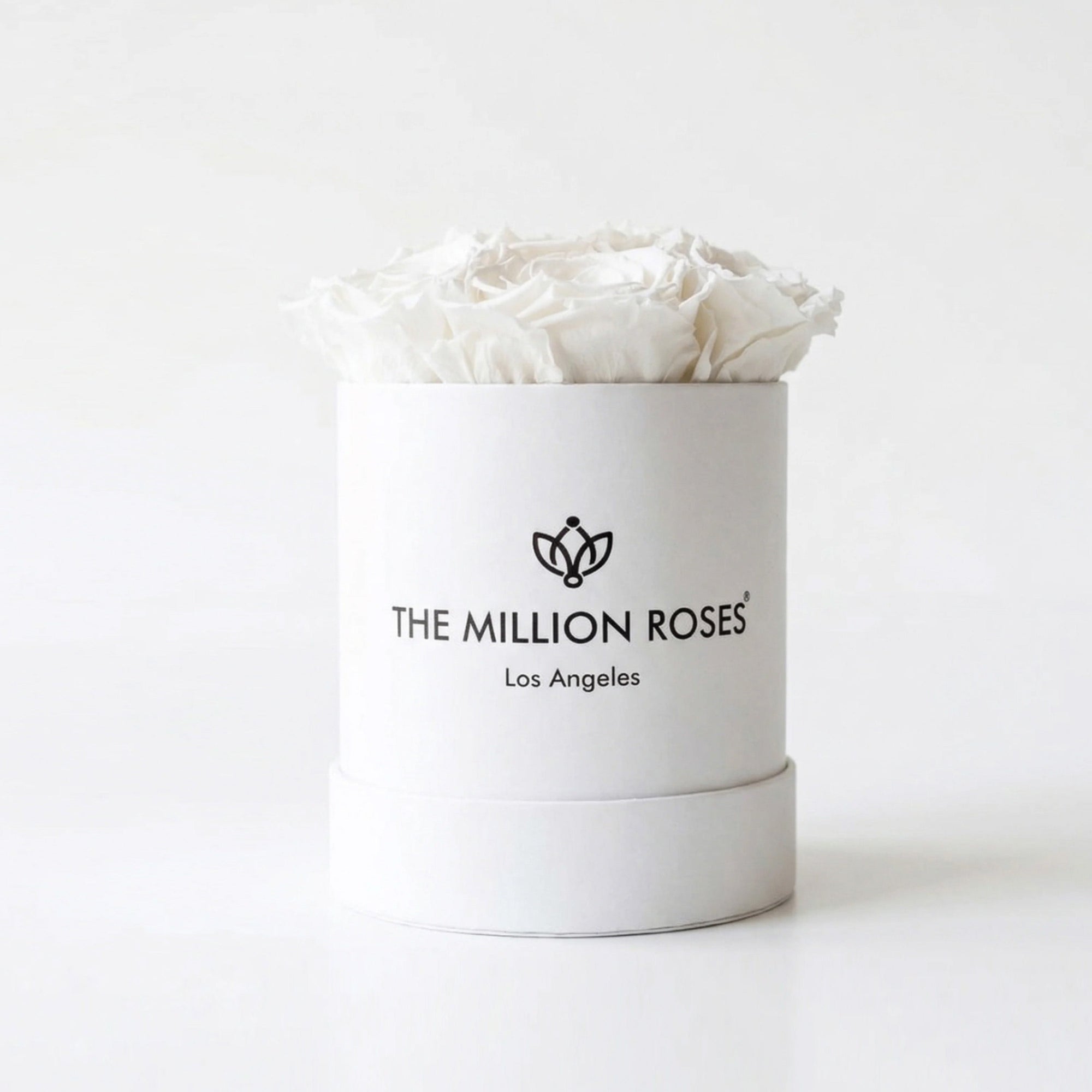 Essence White Box featuring seven white roses arranged neatly in a white box