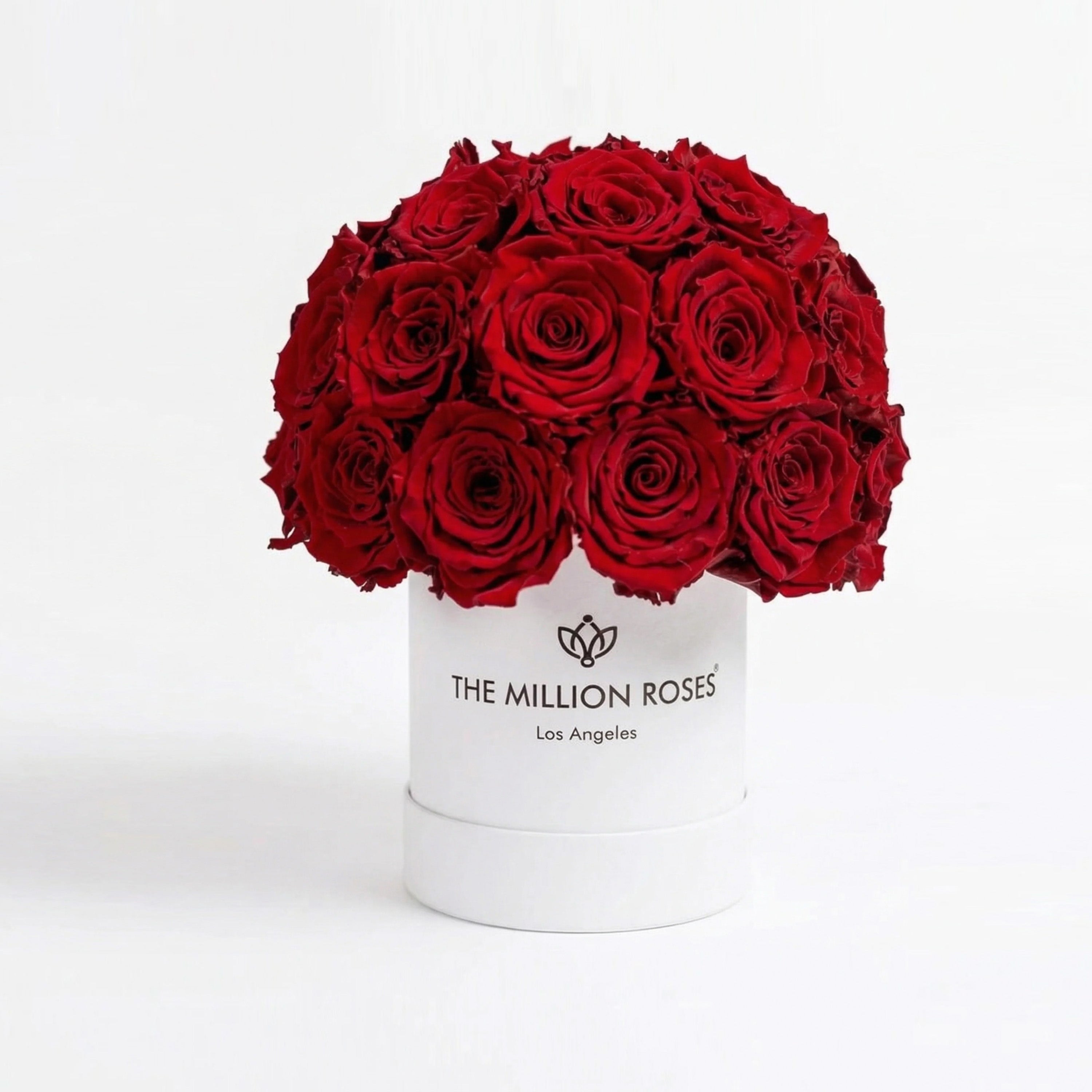 Essence White Superdome Box filled with 38-40 vibrant red roses arranged in a rounded crown