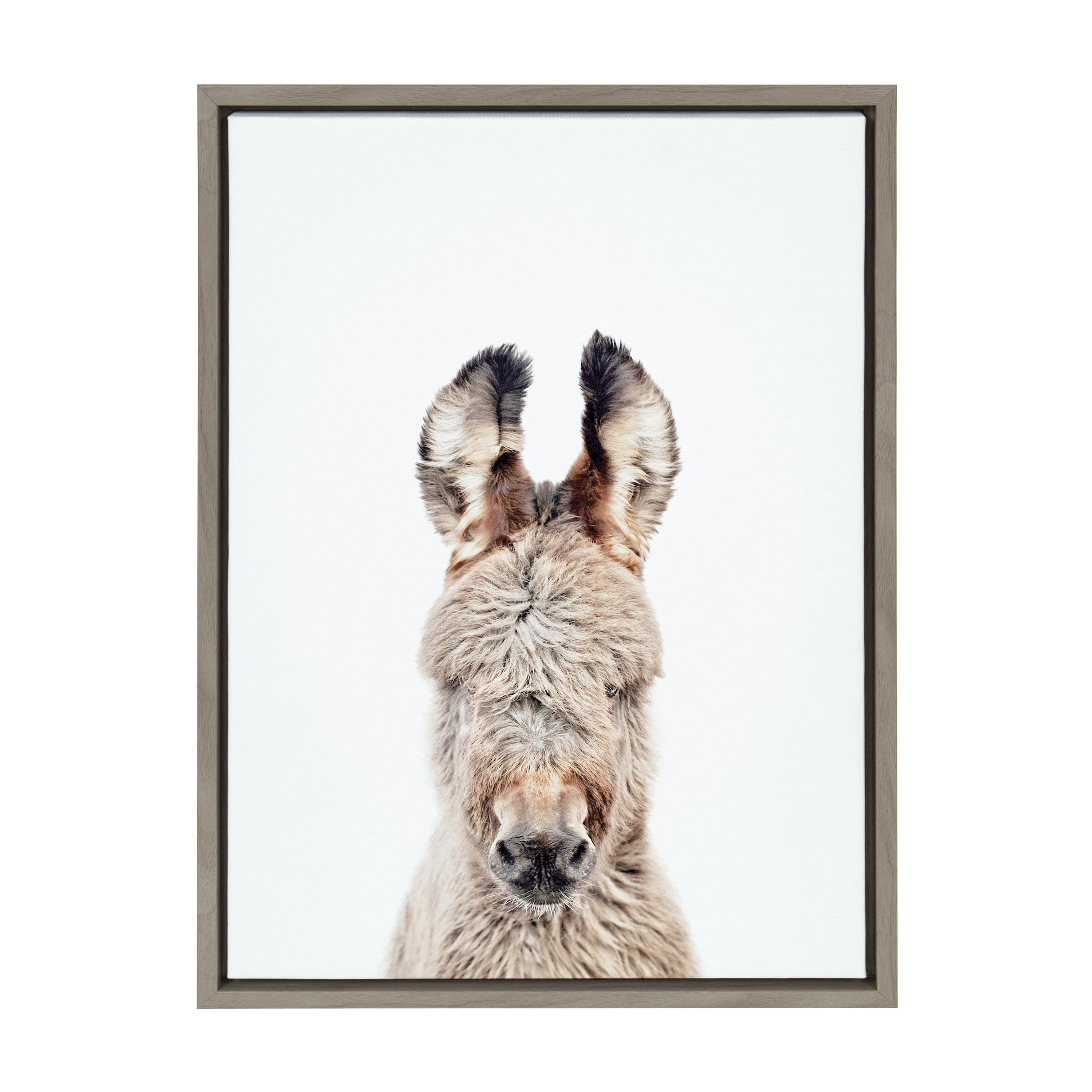 Sylvie Animal Studio Burro Portrait Framed Canvas by Amy Peterson Art Studio