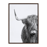Black and white portrait of a Highland cow with long shaggy hair covering its eyes and a prominent horn extending to the left, framed with a dark wooden border.