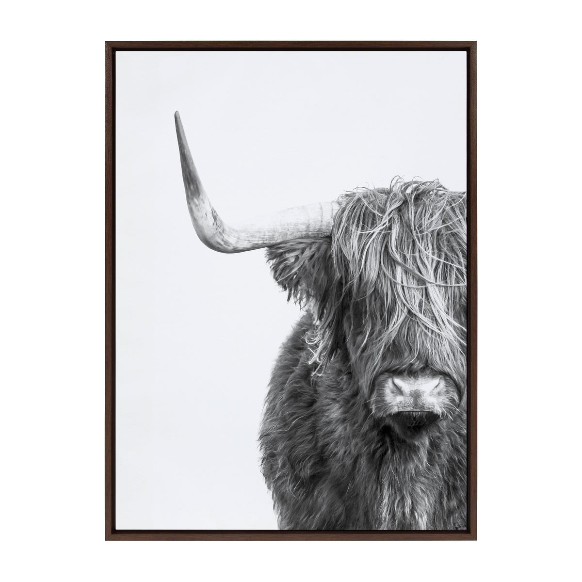 Black and white portrait of a Highland cow with long shaggy hair covering its eyes and a prominent horn extending to the left, framed with a dark wooden border.