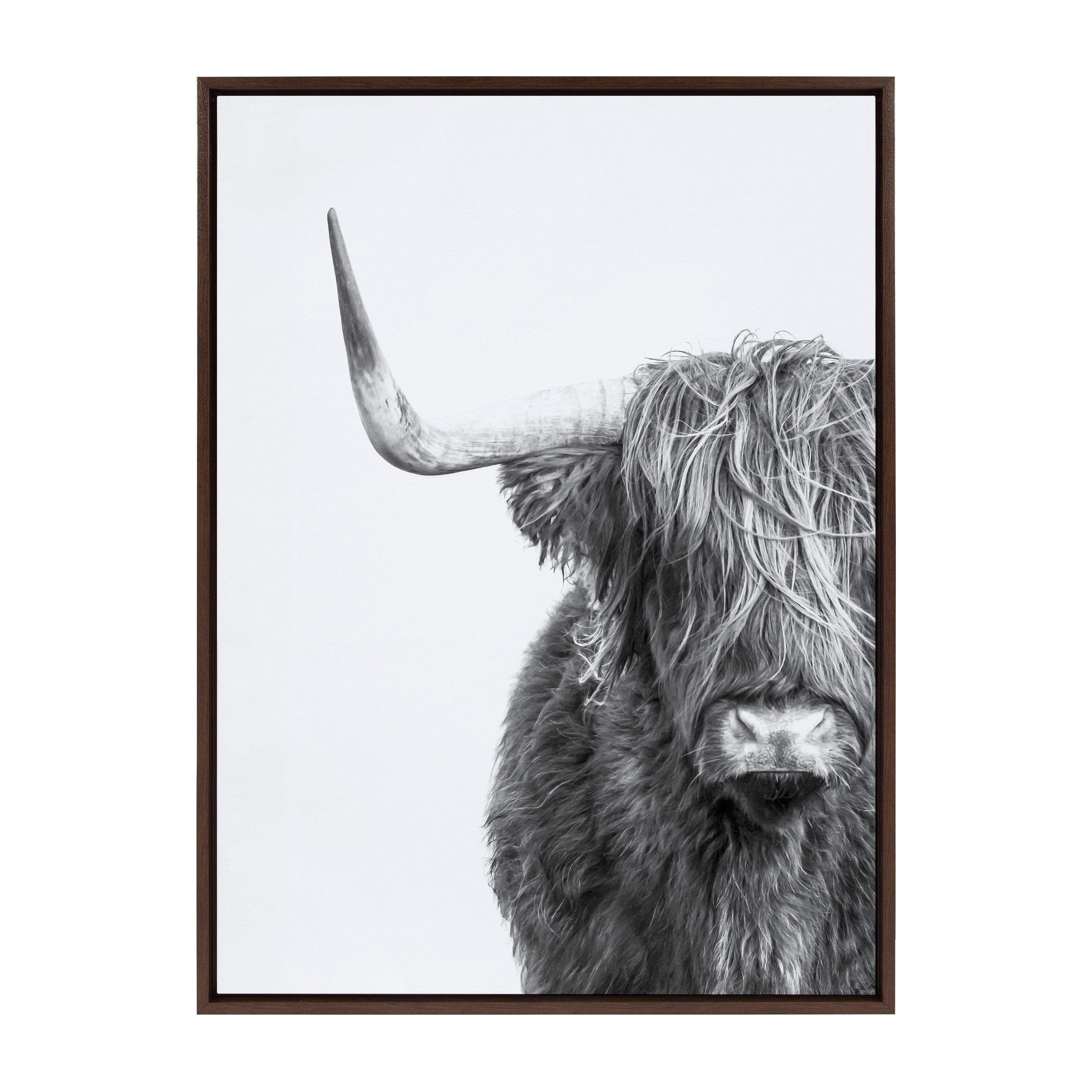 Sylvie B&W Highland Cow No. 1 Framed Canvas by Amy Peterson Art Studio