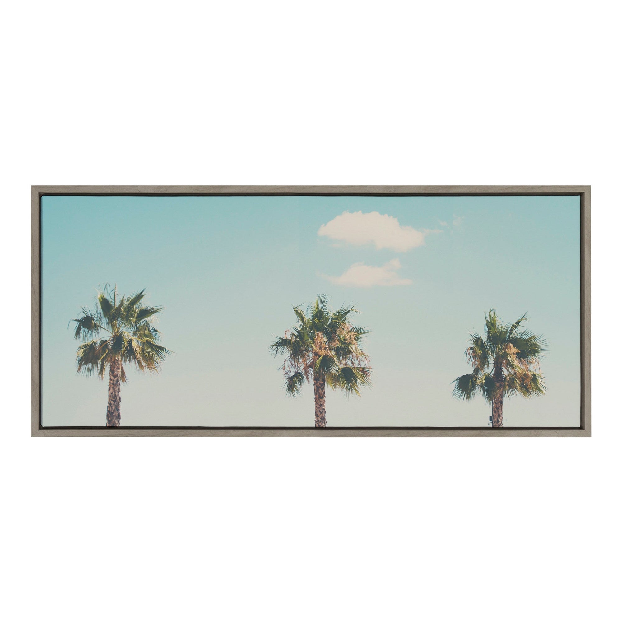 Sylvie A Trio of Palm Trees Framed Canvas by Laura Evans by kateandlaurel - main product image for Resin Society