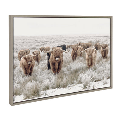 Sylvie Texas Longhorn, Highland Cow Portrait Close Color and Herd of Highland Cows Color Framed Canvas Art Set
