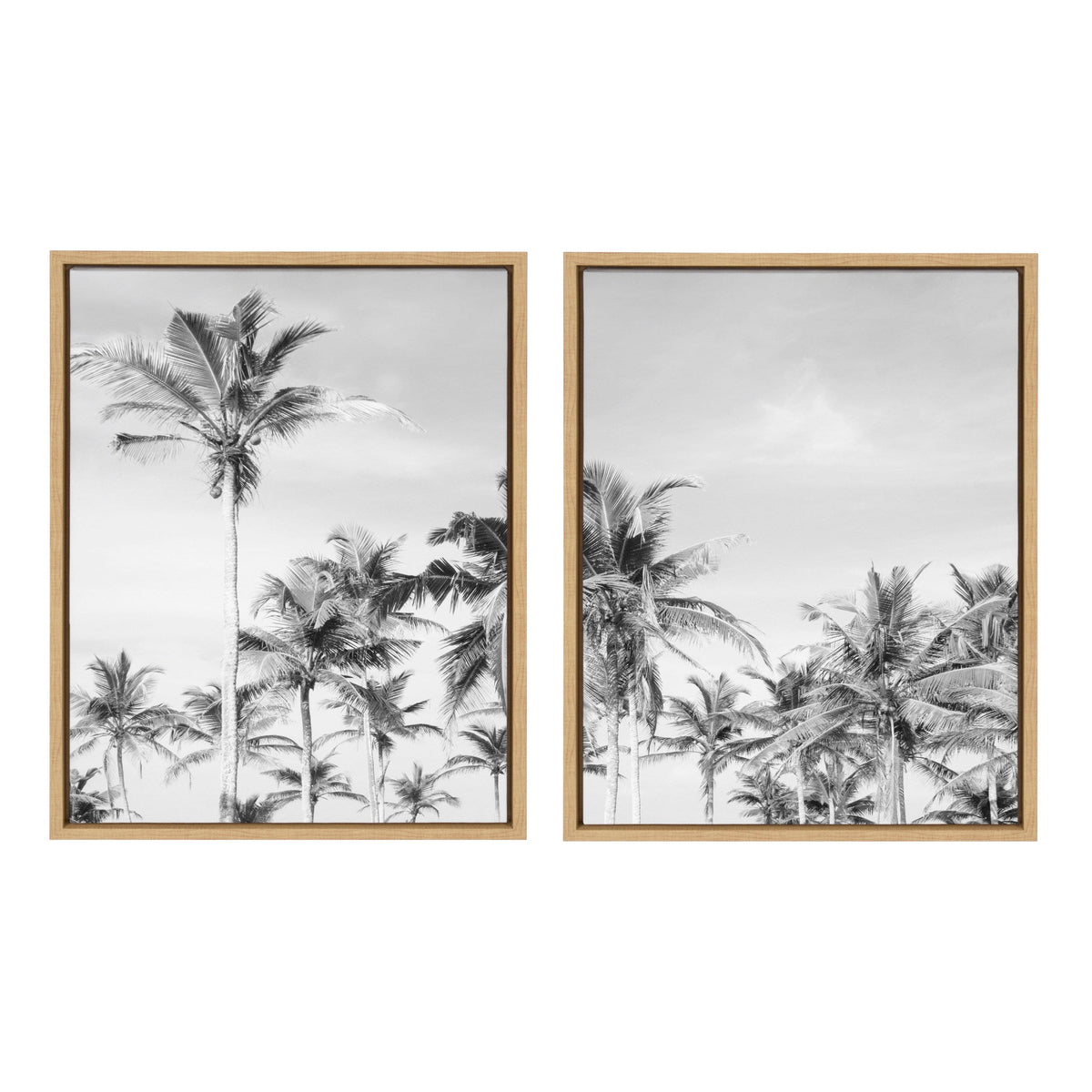 Sylvie Coastal Coconut Palm Tree Beach BW Framed Canvas Set by The by kateandlaurel - main product image for Resin Society