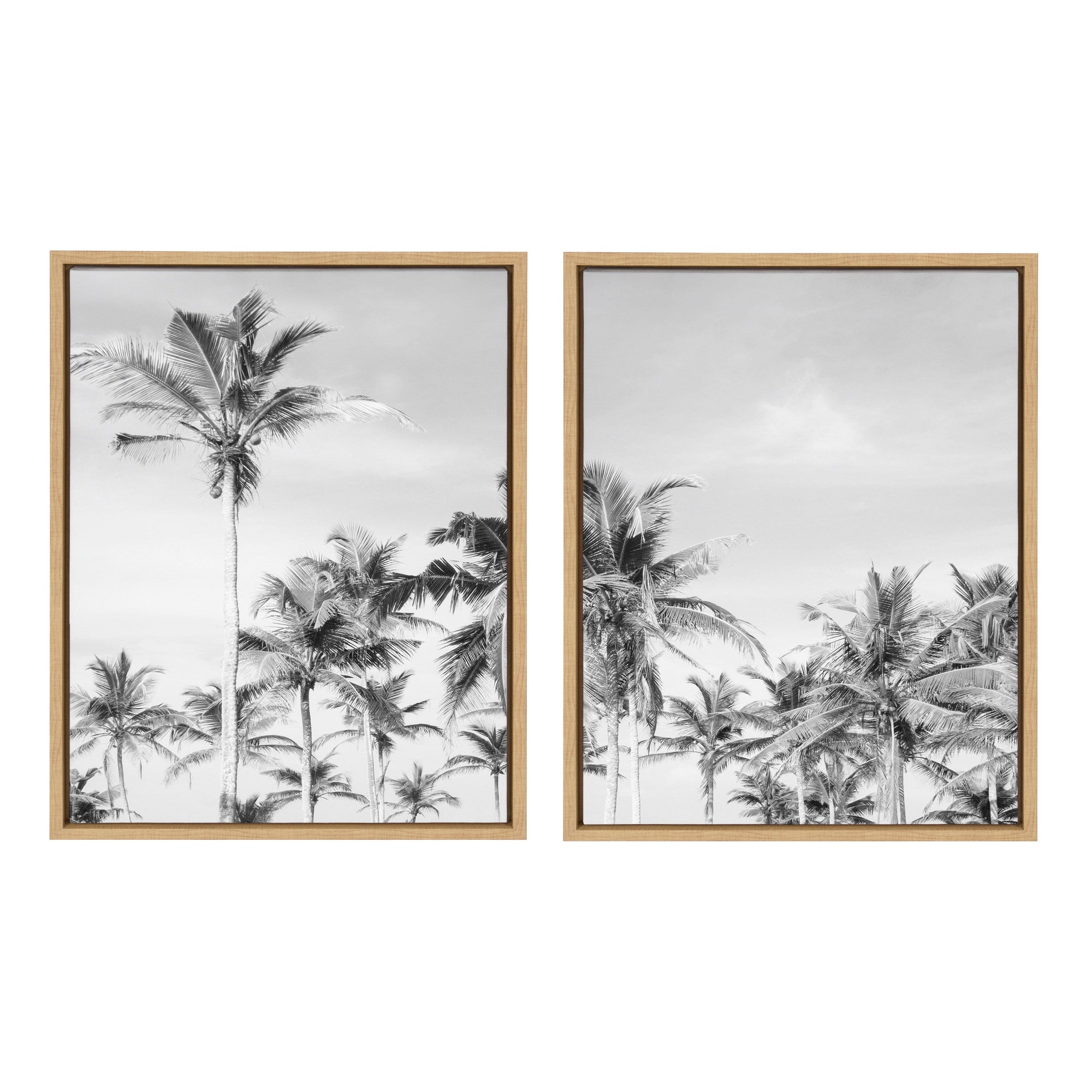 Sylvie Coastal Coconut Palm Tree Beach BW Framed Canvas Set by The by kateandlaurel - product image 9 for Resin Society