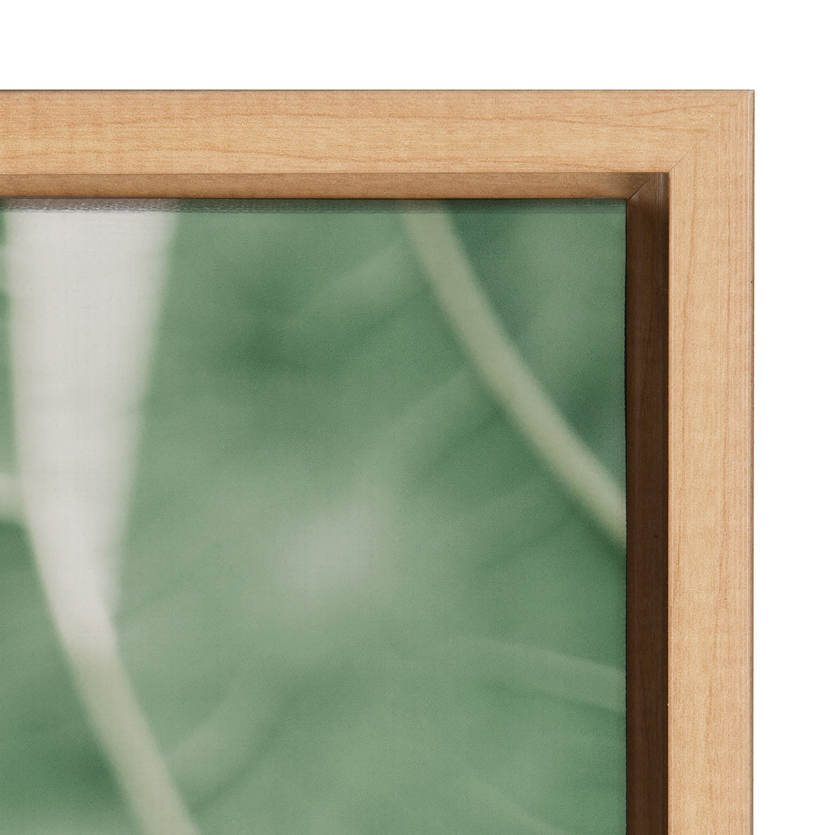 Sylvie Plant Study 7 Framed Canvas by kateandlaurel - product image 3 for Resin Society