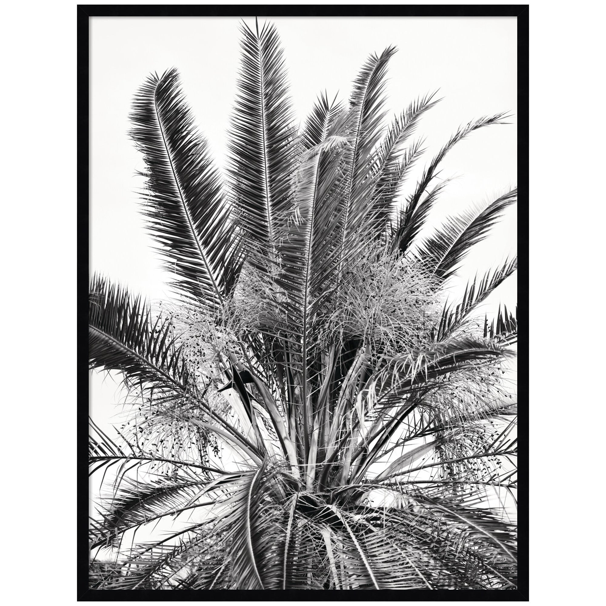 No 15 by Alicia Bock Framed Wall Art Print