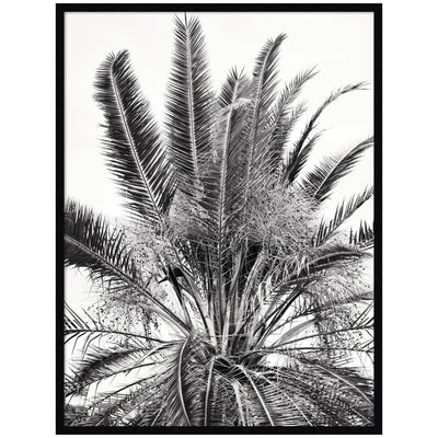 No 15 by Alicia Bock Framed Wall Art Print