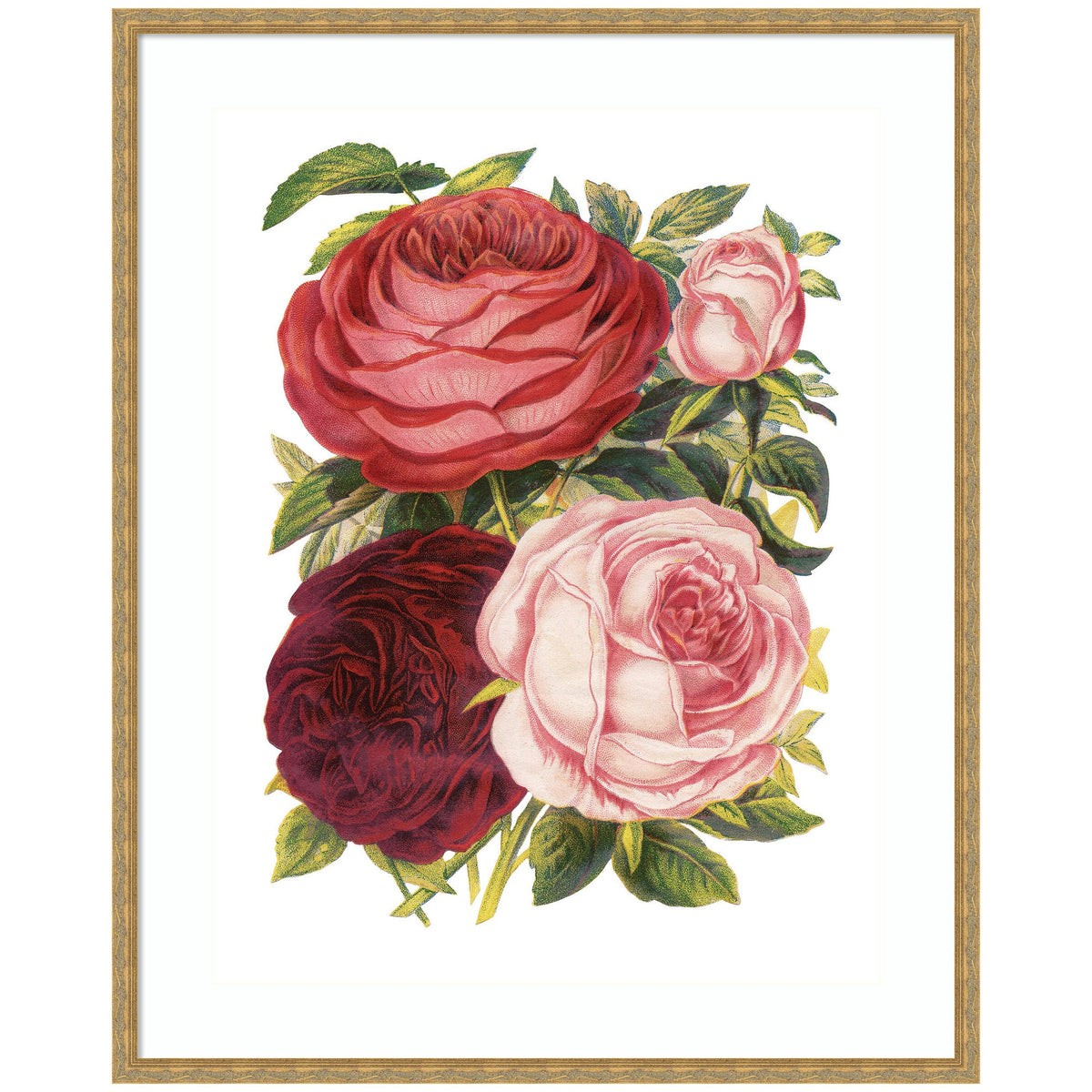 Illustration of four Victorian-style roses in shades of deep red and soft pink, surrounded by detailed green leaves, in a gold wooden frame.