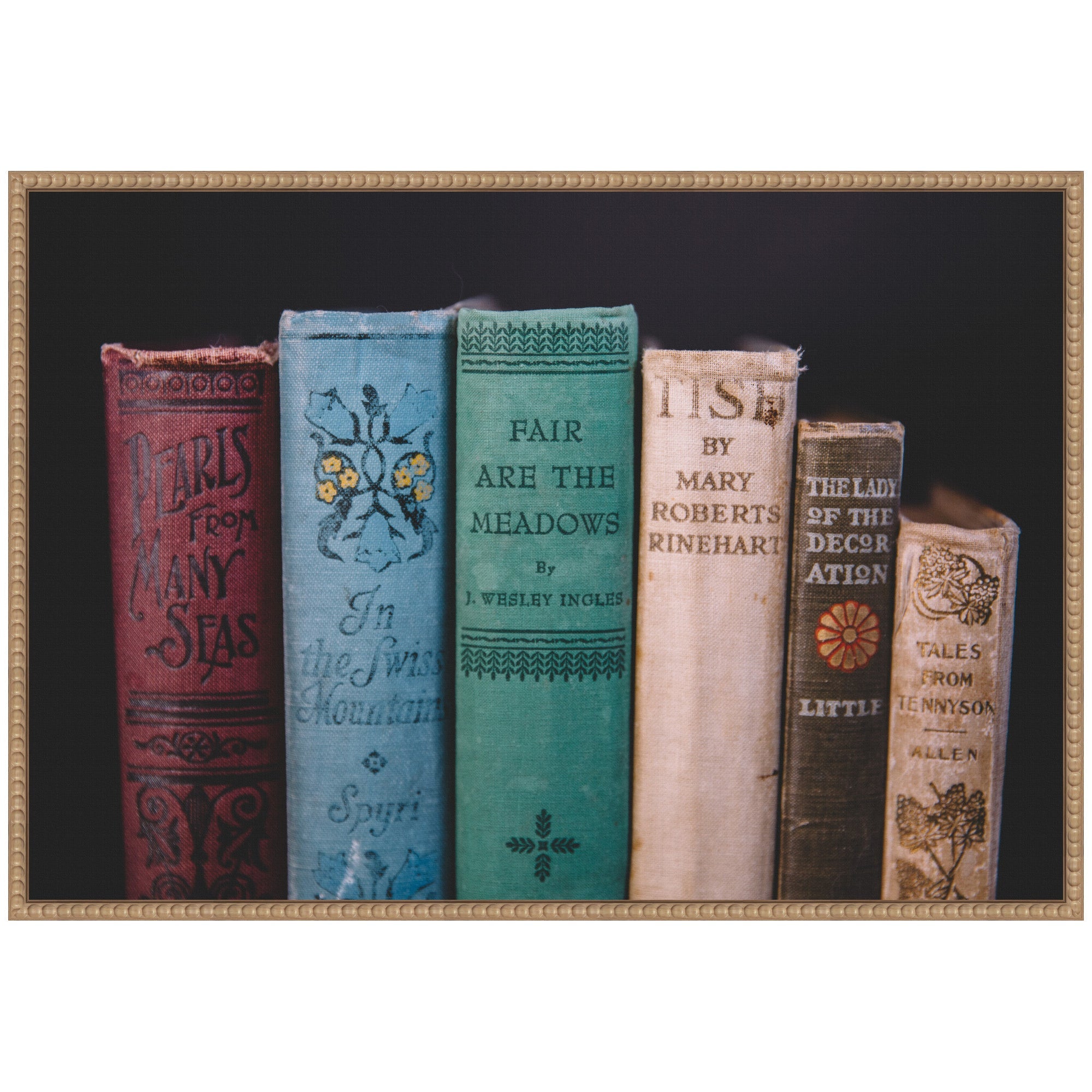 Sylvie Vintage Classic Books Framed Canvas by Patricia Hasz