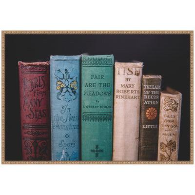 Sylvie Vintage Classic Books Framed Canvas by Patricia Hasz
