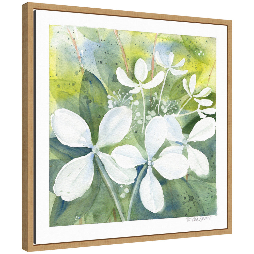 Framed canvas art depicting Sylvie White Phantom Hydrangea in green tones by Patricia Shaw