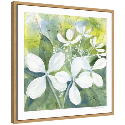 Framed canvas art depicting Sylvie White Phantom Hydrangea in green tones by Patricia Shaw