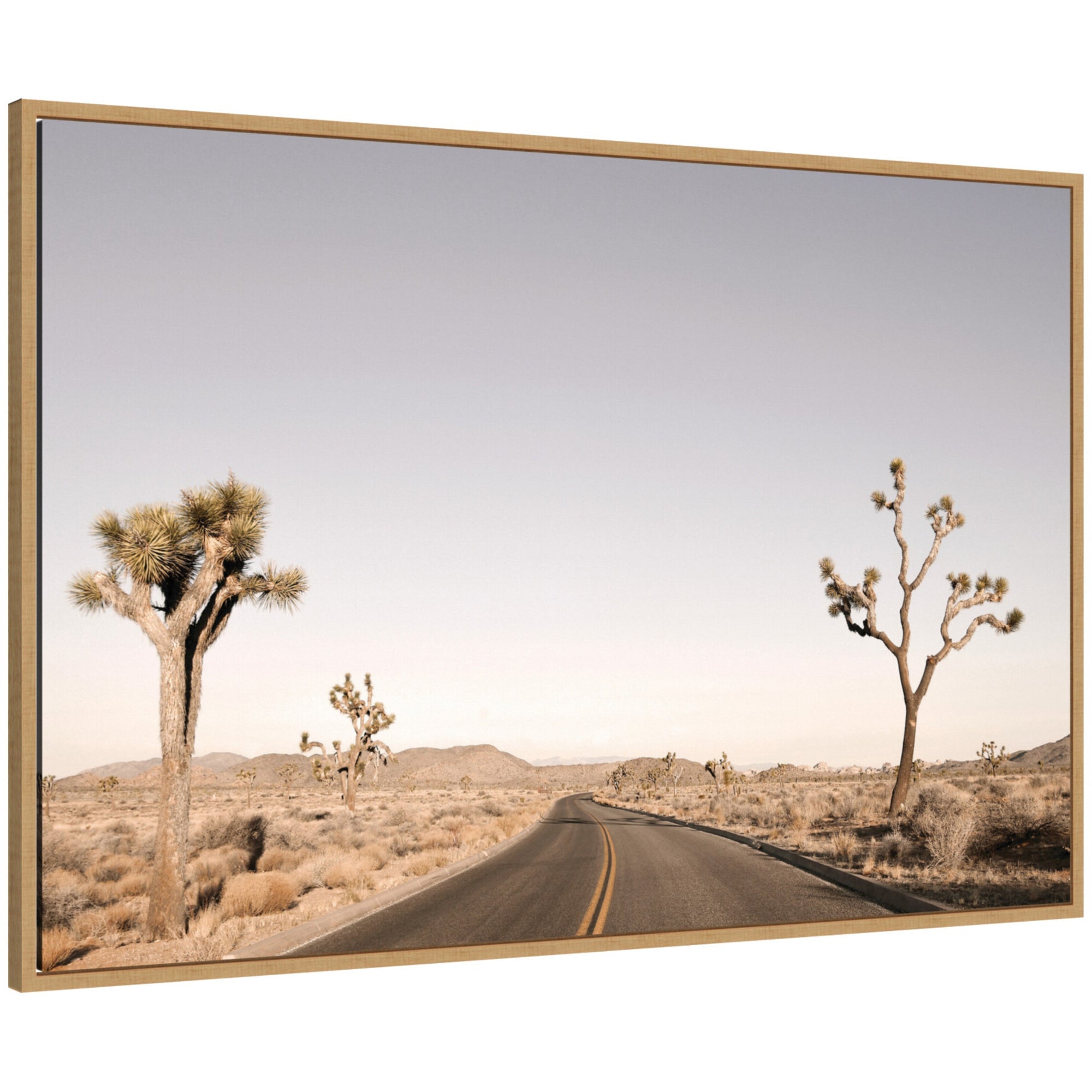 Driving Joshua Tree No.
3 by Alicia Bock Framed Canvas Wall Art Print