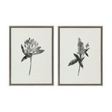 Sylvie Vintage Botanical 1 and 2 Framed Canvas by kateandlaurel - product image 11 for Resin Society