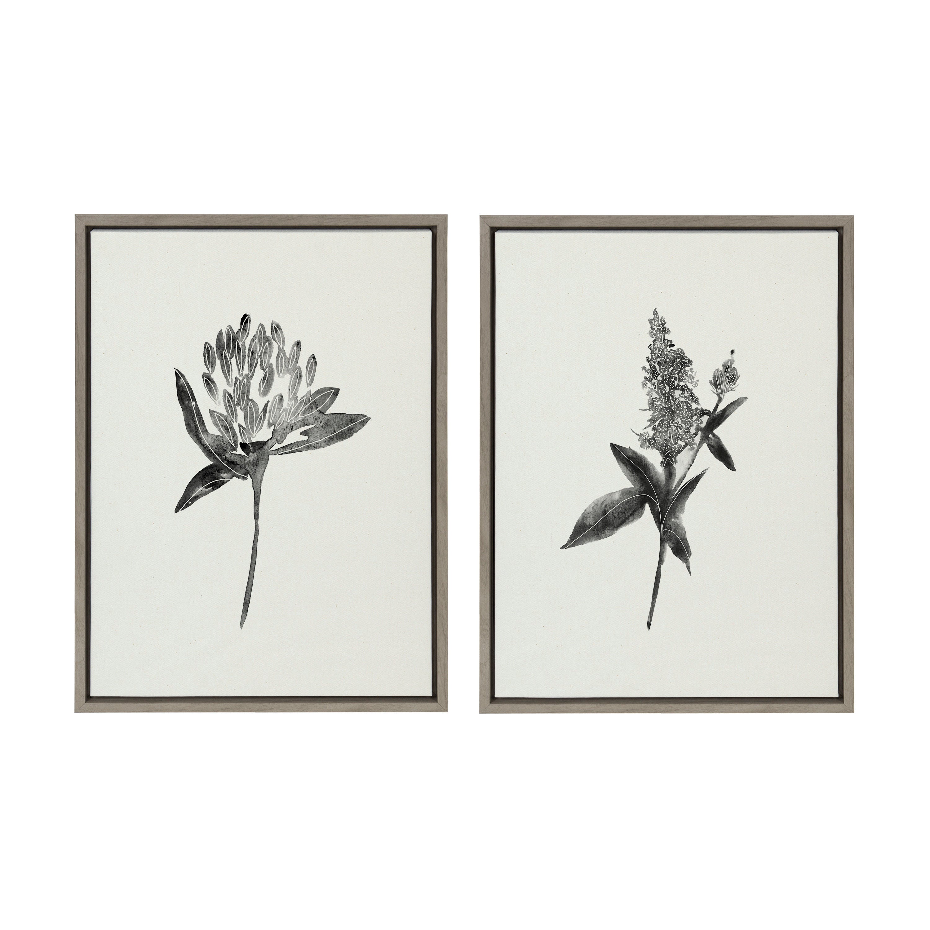 Sylvie Vintage Botanical 1 and 2 Framed Canvas by kateandlaurel - product image 11 for Resin Society