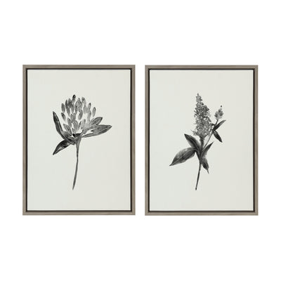 Sylvie Vintage Botanical 1 and 2 Framed Canvas by kateandlaurel - product image 11 for Resin Society