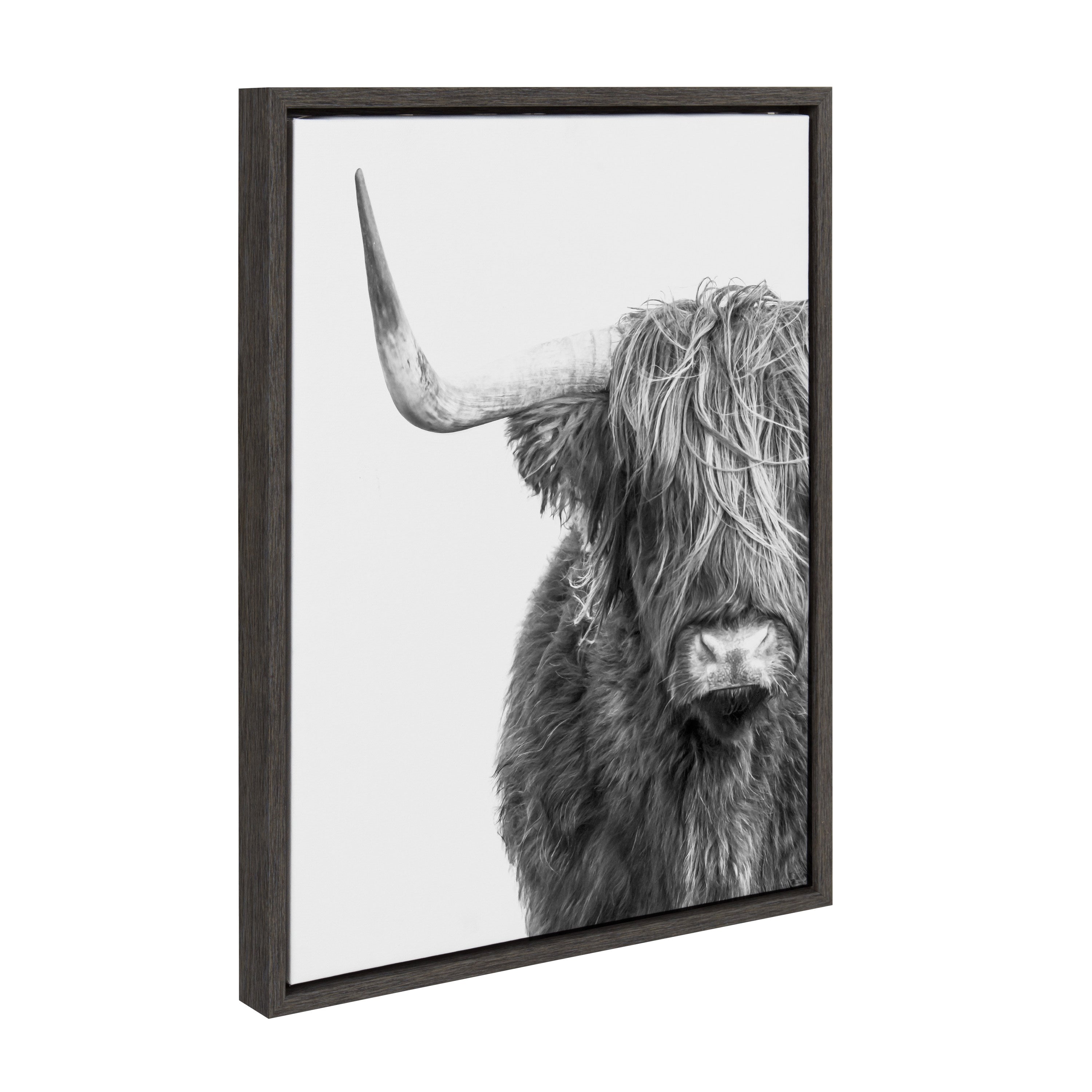 Sylvie Highland Cow Framed Canvas by kateandlaurel - product image 17 for Resin Society