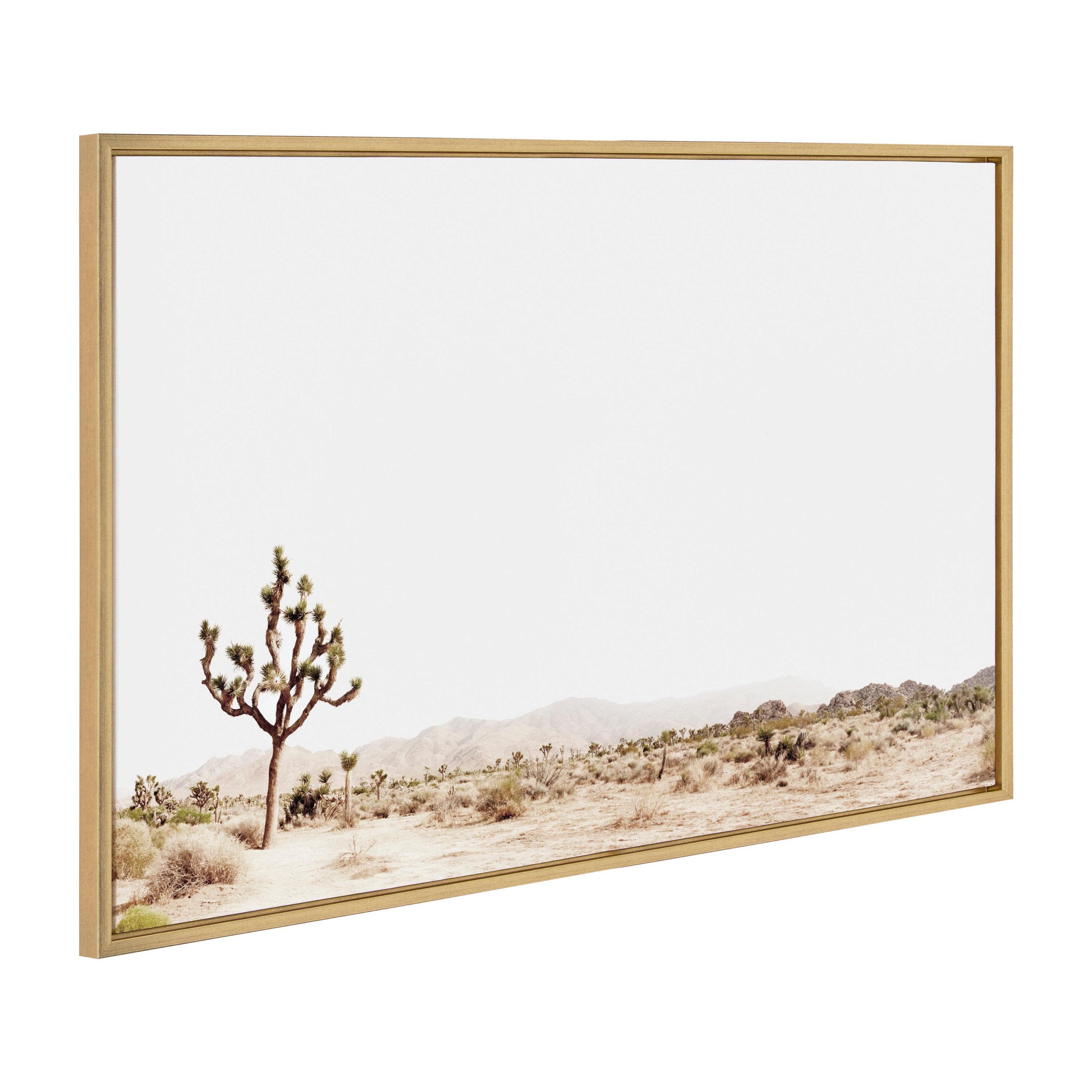 Sylvie Lone Joshua Tree Framed Canvas by Amy Peterson Art Studio by kateandlaurel - product image 14 for Resin Society
